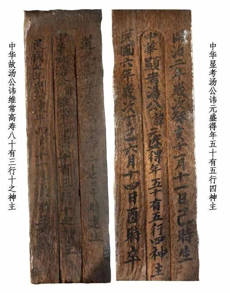 朱正伟简介_致富经朱正伟_朱正伟养黑鱼