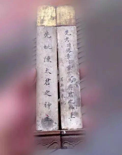 致富经朱正伟_朱正伟养黑鱼_朱正伟简介