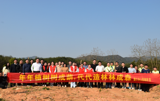 致富经山油茶树视频_油茶树赚钱吗_致富经油茶树