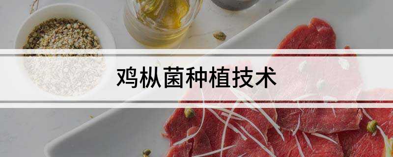 鸡枞菌种植技术
