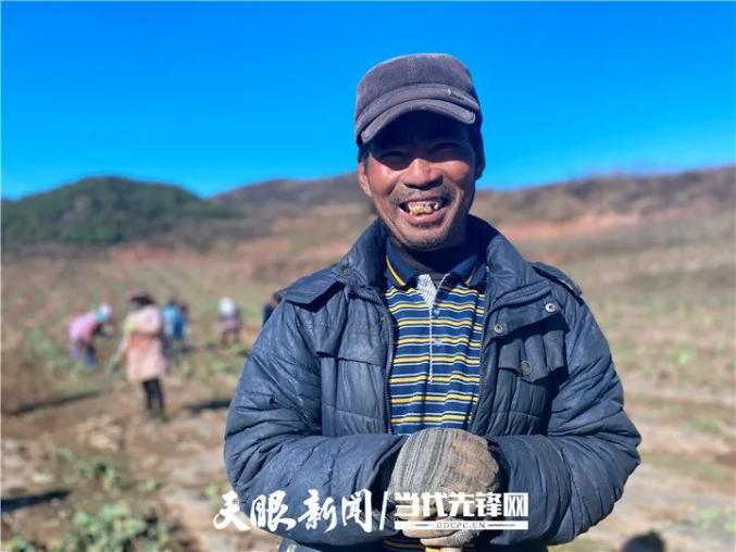 农村种植蔬菜致富方案_致富蔬菜种植农民视频_农民种植蔬菜致富