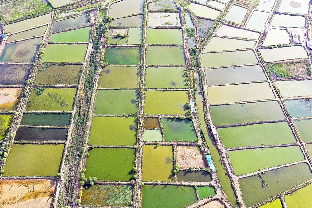 新疆水产养殖致富_新疆养殖项目_新疆水产养殖基地