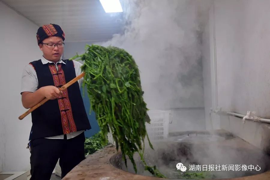 山珍养殖致富项目_致富经养殖山羊_致富养殖视频