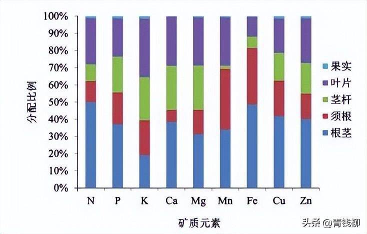 山东农村种植致富好项目_雷竹笋种植致富案例_山东射干种植致富