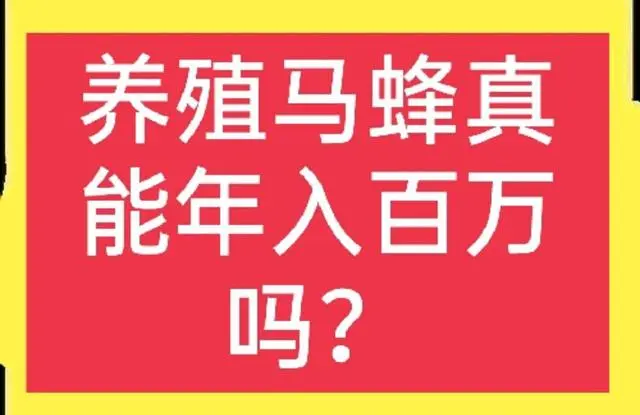 马蜂养殖技术指导_马蜂养殖技术要点_马蜂养殖技术资料