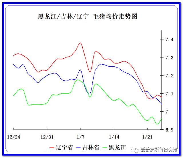 致富经东北养猪_东北养猪户_致富东北养猪的小说