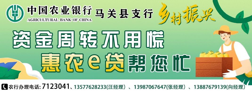 砂仁种植致富_致富种植砂仁视频_种砂仁赚钱吗