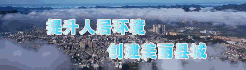 种砂仁赚钱吗_砂仁种植致富_致富种植砂仁视频