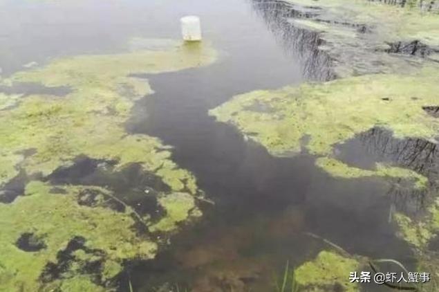 视频致富养殖夫妻在线观看_夫妻养殖致富视频_养殖致富网视频
