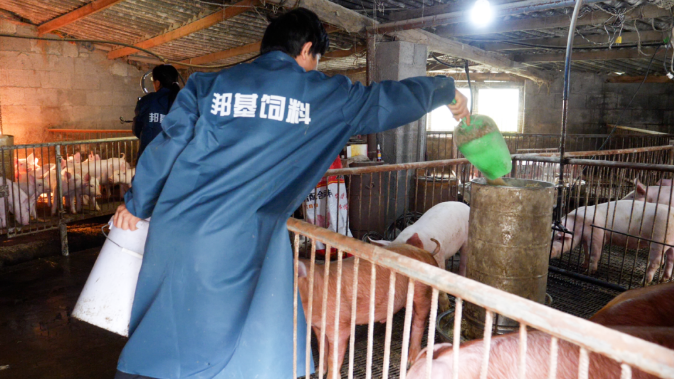养殖致富网视频_视频致富养殖夫妻在线观看_夫妻养殖致富视频