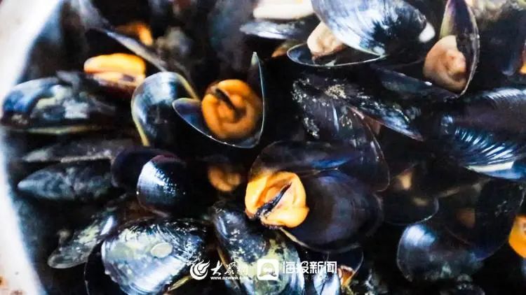 海洋上养殖致富_海洋养殖产品_海上养殖什么最赚钱