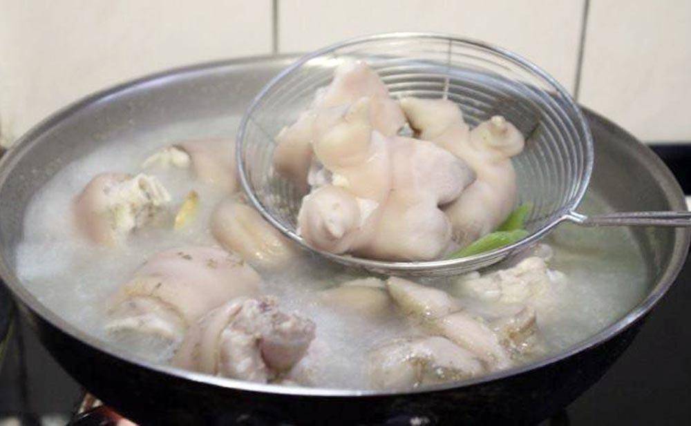 鸽子养殖技术视频冬天_鸽孑养殖视频_冬季养鸽子技术视频全集