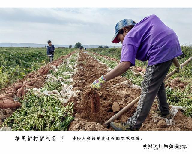 养殖致富网视频_夫妻养殖致富视频_致富经恩爱夫妻养鸡