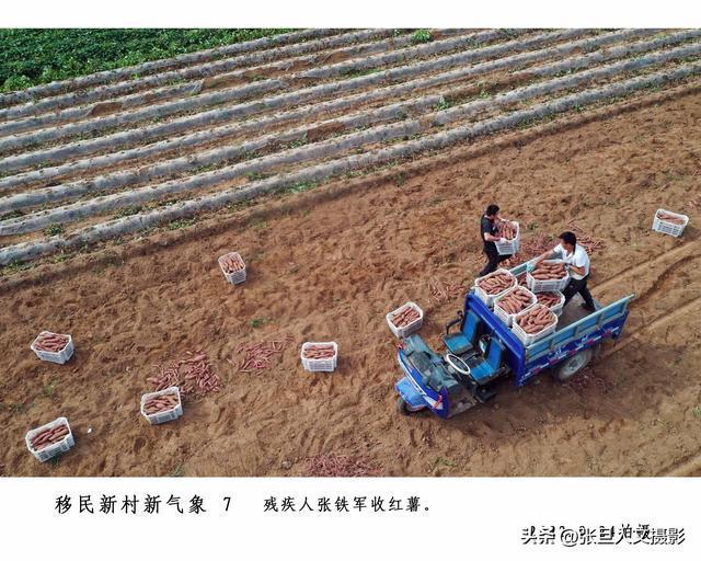 养殖致富网视频_致富经恩爱夫妻养鸡_夫妻养殖致富视频