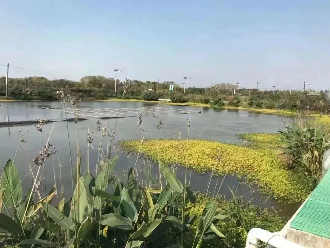 种养致富项目_种植养殖致富行业_致富养殖种植行业现状