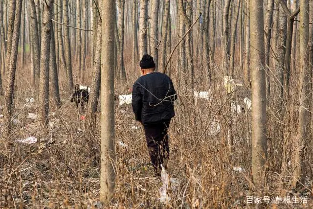致富养殖种植行业怎么样_种植养殖致富行业_种养殖业致富项目