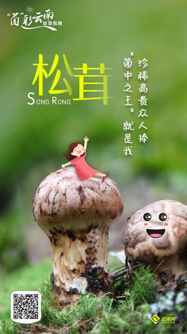 致富经鱼子酱_致富经鱼肉酱_顶级鱼子酱价格多少钱一斤