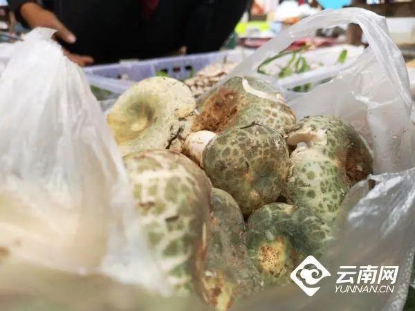 致富经鱼子酱_致富经鱼肉酱_顶级鱼子酱价格多少钱一斤