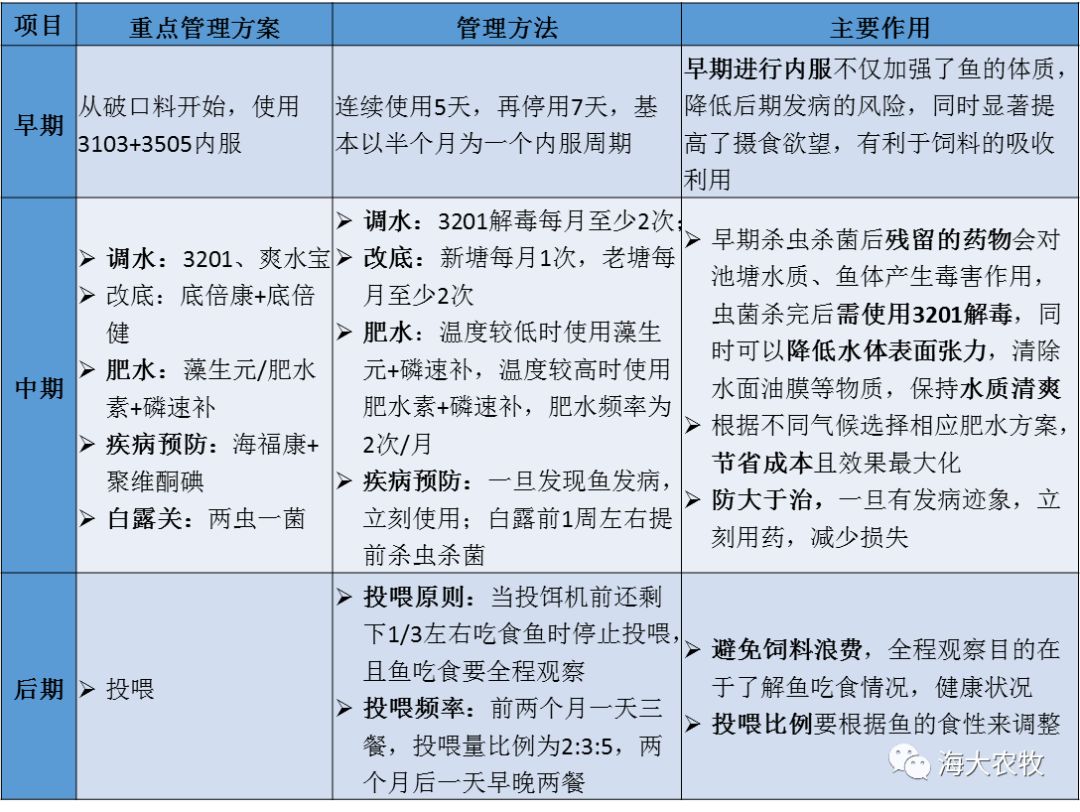 叉尾鮰养殖技术视频_叉尾鮰鱼养殖技术视频_叉尾鮰鱼苗养殖技术