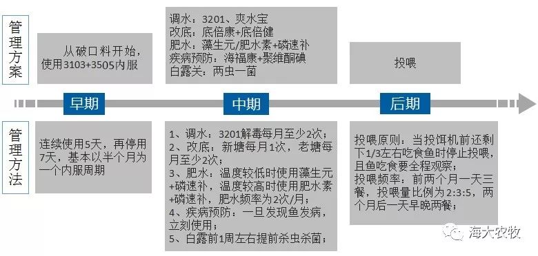 叉尾鮰养殖技术视频_叉尾鮰鱼养殖技术视频_叉尾鮰鱼苗养殖技术