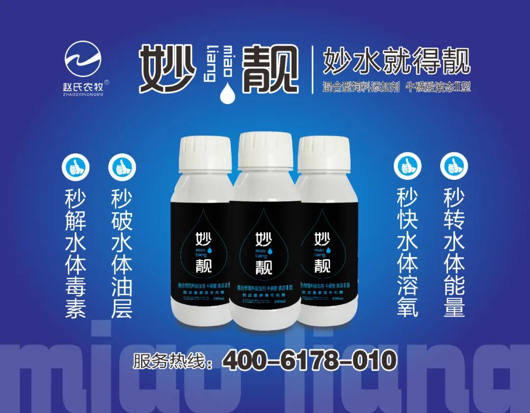 2021年叉尾鮰鱼养殖前景_叉尾鱼养殖技术视频_叉尾鮰鱼苗养殖技术