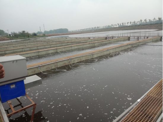 养殖土鱼致富_土鱼养殖视频教程_致富养殖土鱼视频