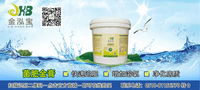 养殖土鱼致富_土鱼养殖视频教程_致富养殖土鱼视频
