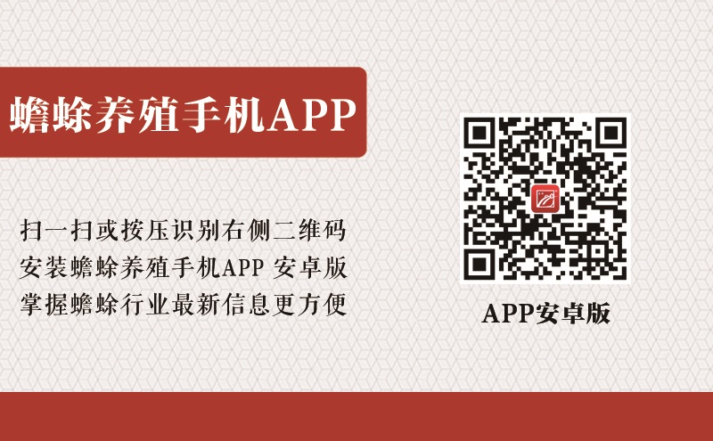 蟾蜍养殖技术教程_蟾蜍养殖技术教程_蟾蜍养殖技术教程