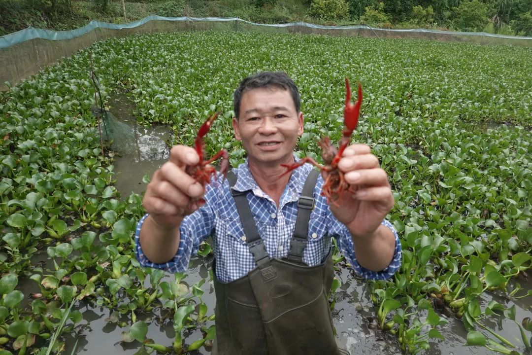 土鱼养殖视频_致富养殖土鱼视频_养殖土鱼致富