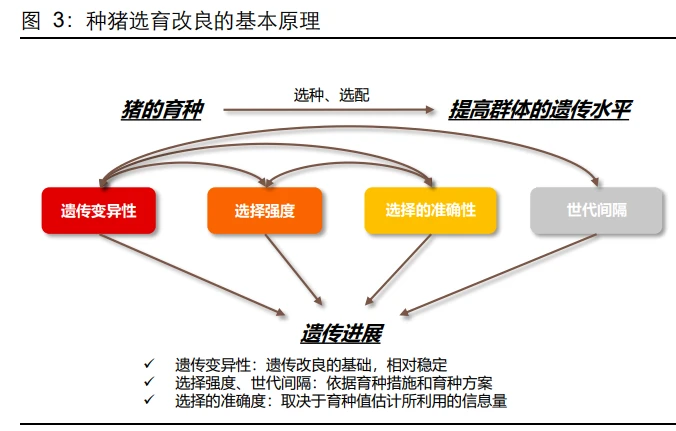 美国养殖致富项目_美国养殖业什么赚钱_致富养殖美国项目是什么