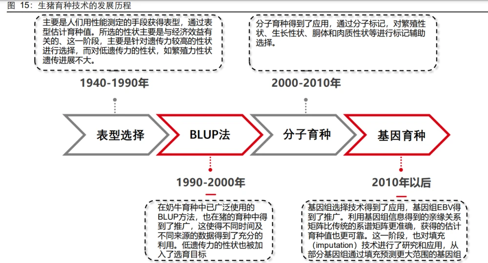 致富养殖美国项目是什么_美国养殖致富项目_美国养殖业什么赚钱