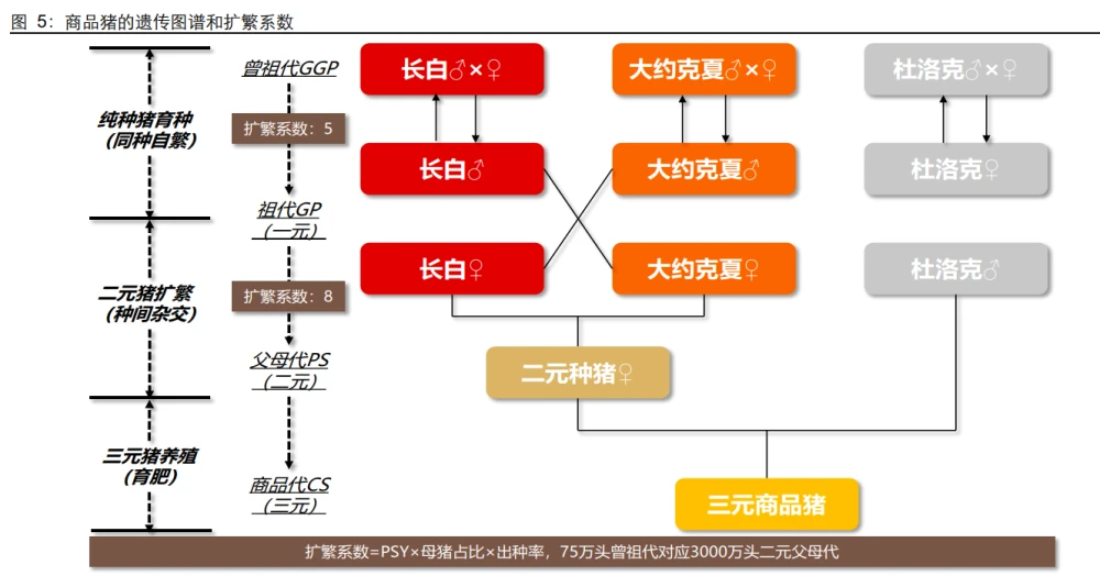 美国养殖业什么赚钱_致富养殖美国项目是什么_美国养殖致富项目