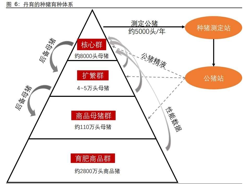 美国养殖致富项目_致富养殖美国项目是什么_美国养殖业什么赚钱