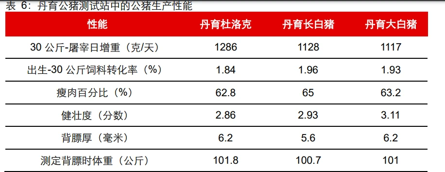 致富养殖美国项目是什么_美国养殖致富项目_美国养殖业什么赚钱