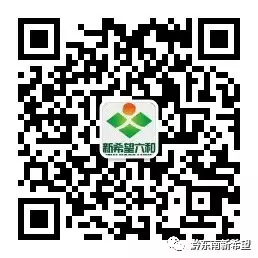 养殖马蜂技术里有什么_七里有马蜂养殖技术_养殖马蜂技术里有什么技术