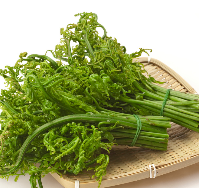 蕨菜种植对环境有什么要求，如何进行栽培，育苗方式介绍