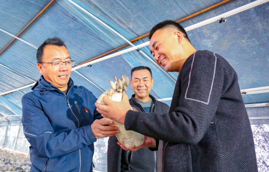 朵朵菌菇开出“致富花” 连村共建铺出幸福路