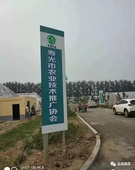 农广天地甜瓜种植技术视频_甜瓜种植技术_旱甜瓜种植致富