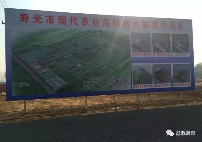 甜瓜种植技术_农广天地甜瓜种植技术视频_旱甜瓜种植致富
