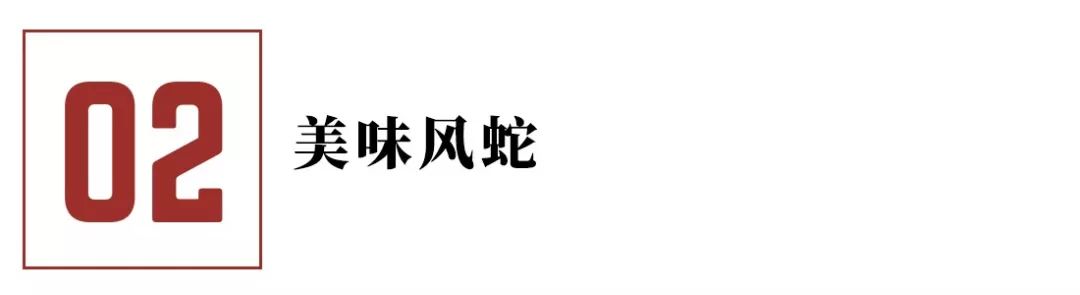 利昂兔养殖致富_致富经兔子养殖_致富经养殖养兔