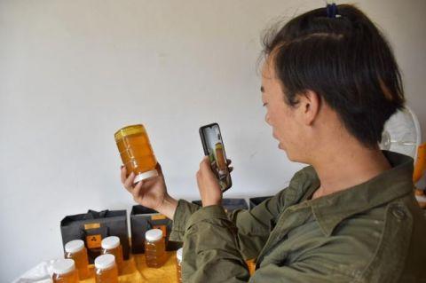 蜜蜂致富养殖故事大全_蜜蜂养殖致富故事_养蜜蜂的故事