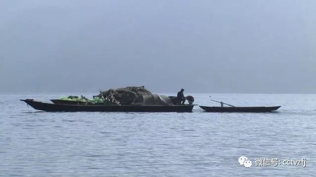 cctv7 致富经养鸡视频_致富经cctv7养鸡视频全集_致富经cctv7养土鸡视频