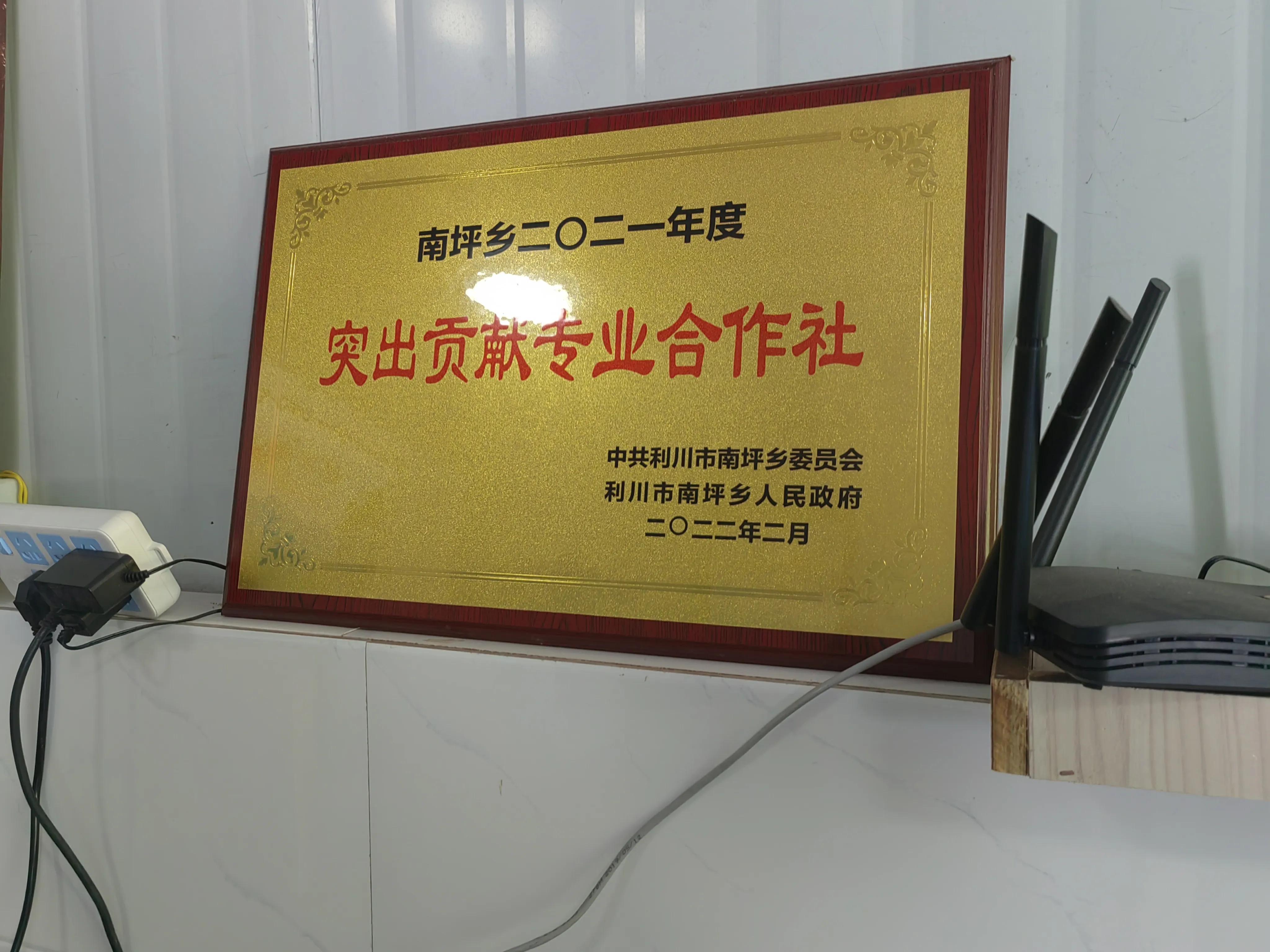 麻鸭养殖致富_致富养殖麻鸭怎么样_致富养殖麻鸭赚钱吗