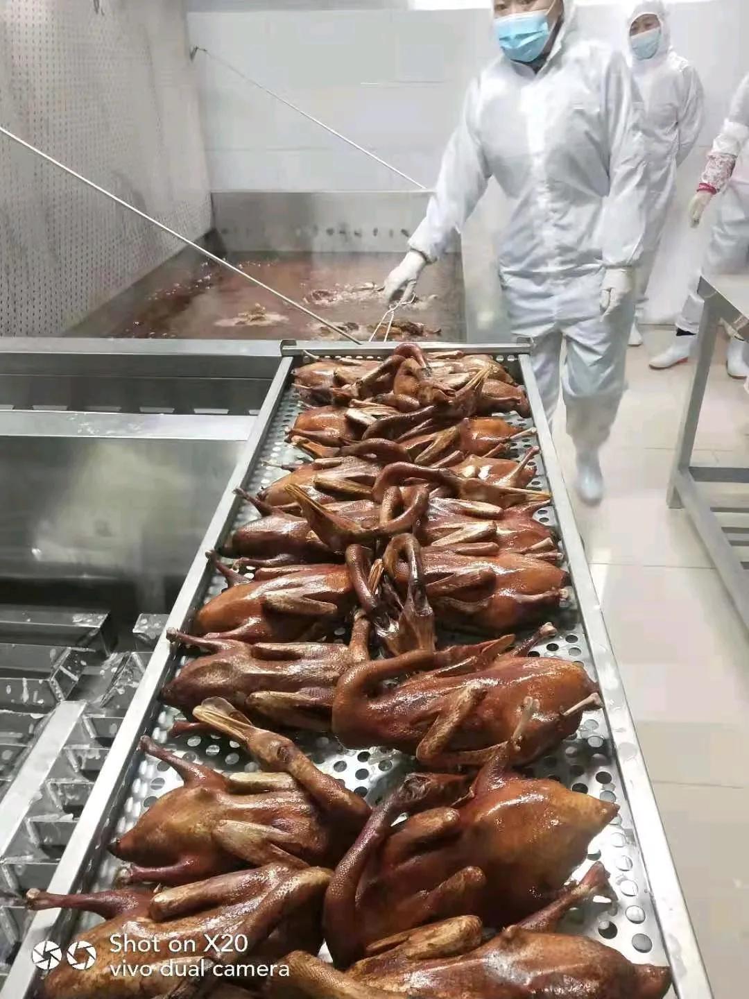 致富养殖麻鸭怎么样_麻鸭养殖致富_致富养殖麻鸭赚钱吗