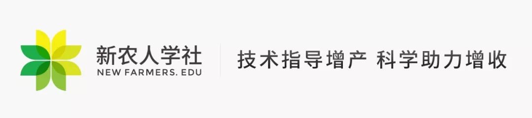 养殖肉鸡技术视频_养殖肉鸡技术大全_肉鸡养殖 技术