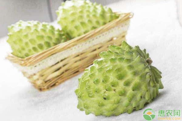 释迦果一斤有几个？怎么吃？功效与禁忌有哪些？