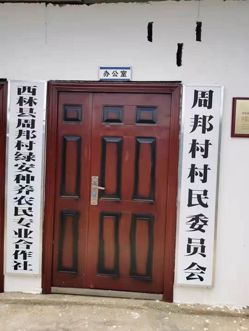 广西百色市西林县一合作社将鸡舍改为薄垫料生物发酵床模式养黑猪，轻松解决环保等问题