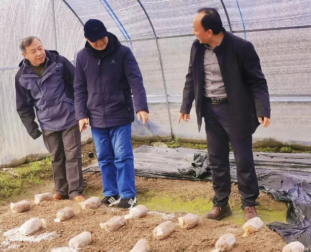农村种植致富能手发言稿_村种植致富能手_农村致富能手事迹简介