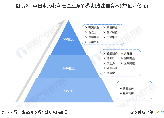 图表2：中国中药材种植企业竞争梯队(按注册资本)(单位：亿元)