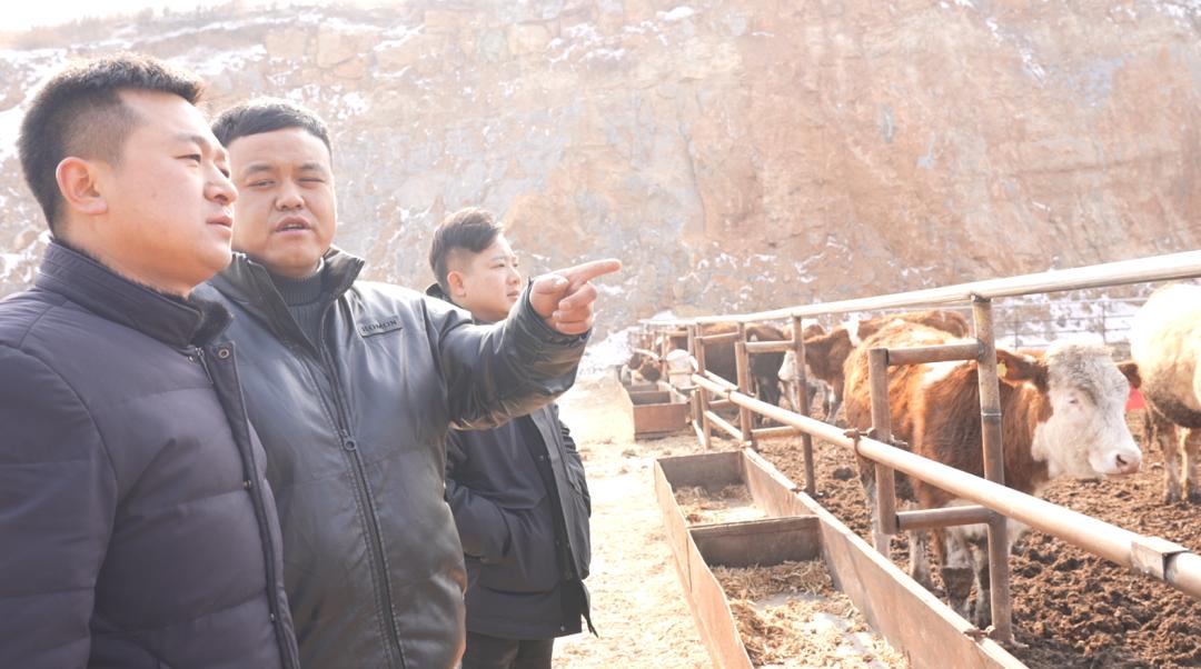 高温养殖致富_养殖致富经_高温天气养殖场做什么措施